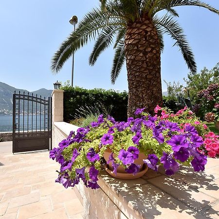 Maniva Penthouse By The Sea Lägenhet Kotor Exteriör bild