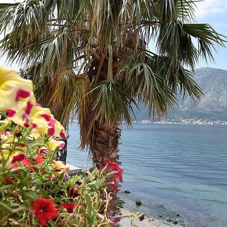 Maniva Penthouse By The Sea Lägenhet Kotor Exteriör bild