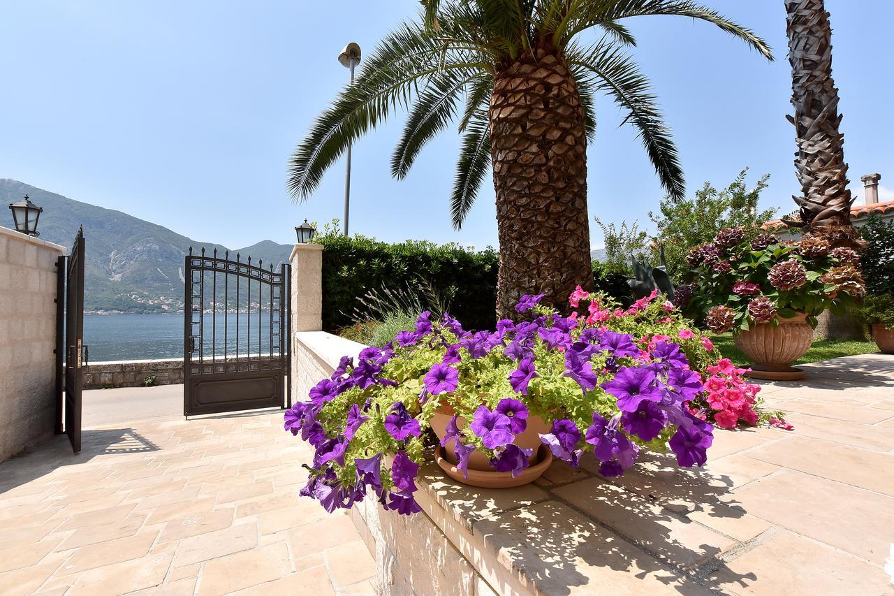 Maniva Penthouse By The Sea Lägenhet Kotor Exteriör bild