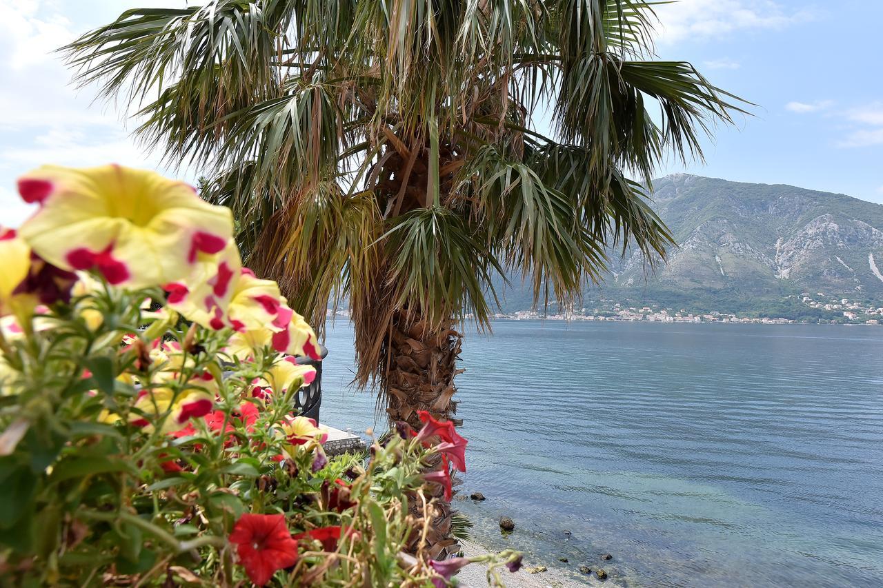 Maniva Penthouse By The Sea Lägenhet Kotor Exteriör bild